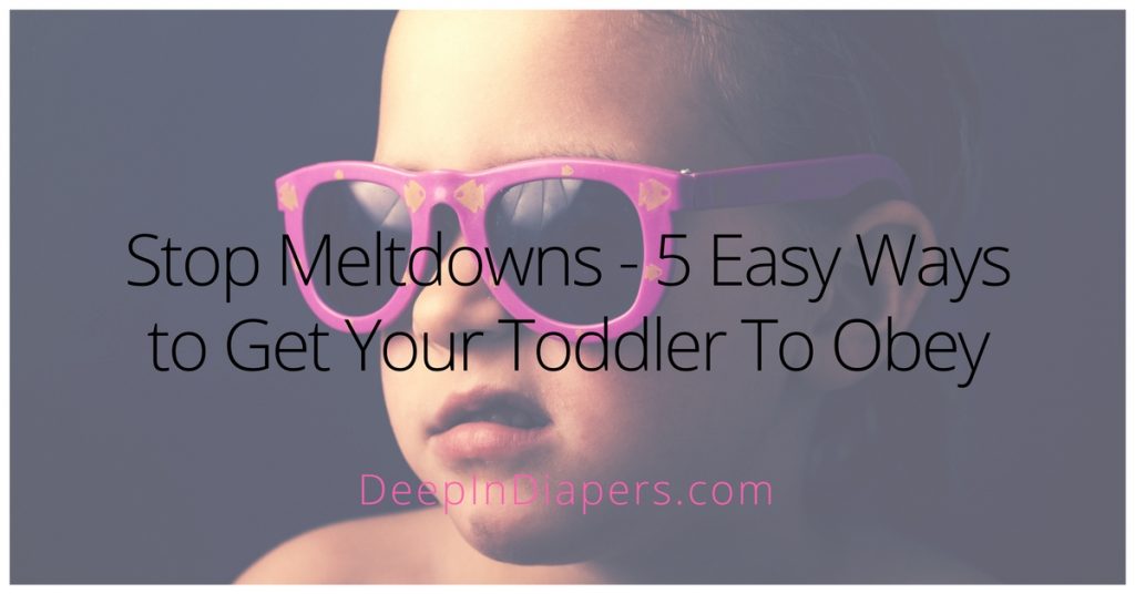 Stop Meltdowns - 5 Easy Ways to Get Your Toddler To Obey - Facebook Photo